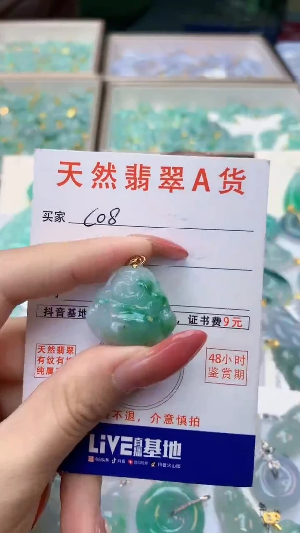 颈饰未镶嵌翡翠天然A货翡翠挂件