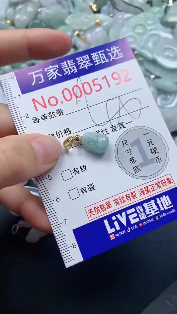 吊坠(不含链)未镶嵌翡翠5192