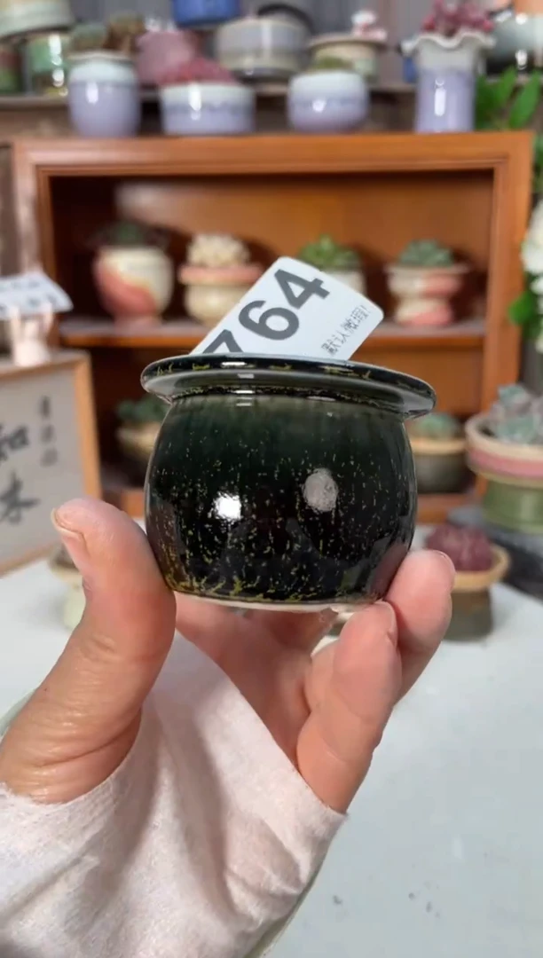 瓷片764小芳直播编号