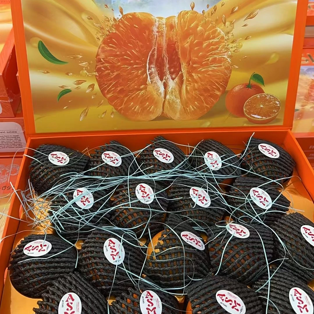 沃柑【精品礼盒】6斤 ±2 【顺丰包邮今天拍明天到】