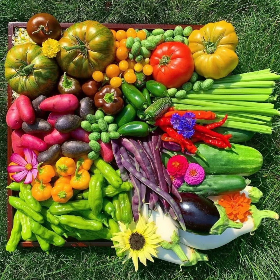 云南土特产【4临时链接】农产品