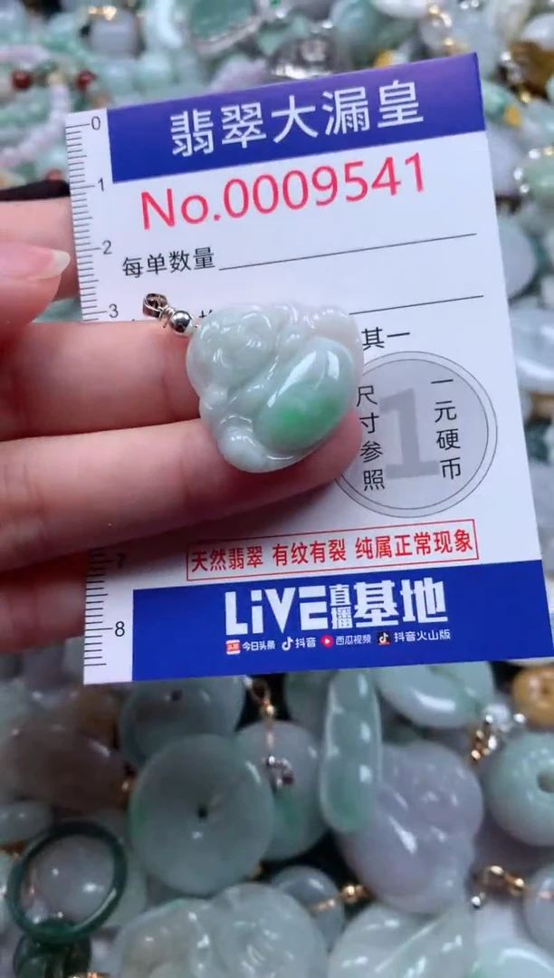 翡翠未镶嵌吊坠(不含链)9541