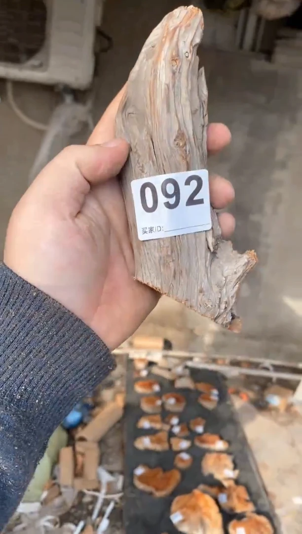 【闪购商品】香榧木太行陈化崖柏（津诚林）切片