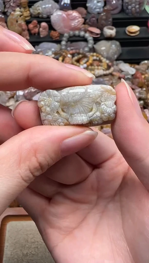 颈饰未镶嵌硅化珊瑚（珊瑚玉）539