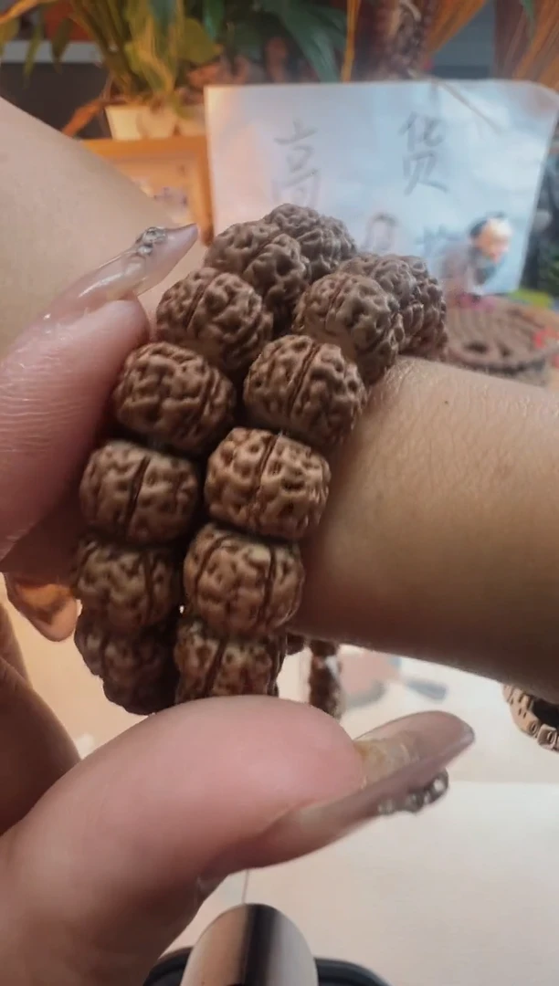 手串金刚菩提纯血麦穗龙10/