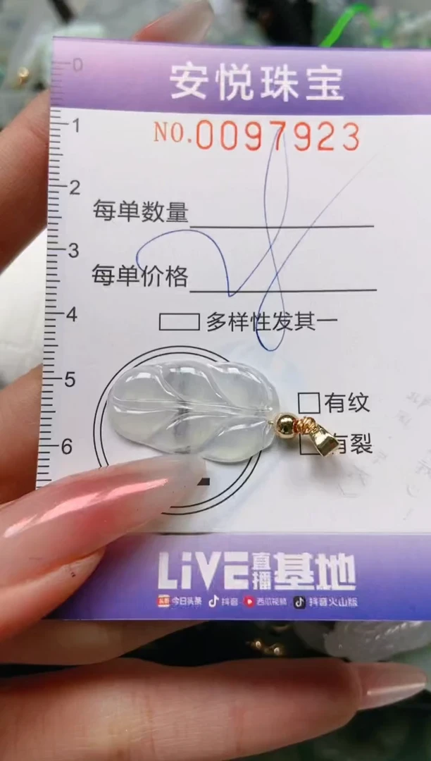 【闪购商品】翡翠颈饰未镶嵌闪购0097923