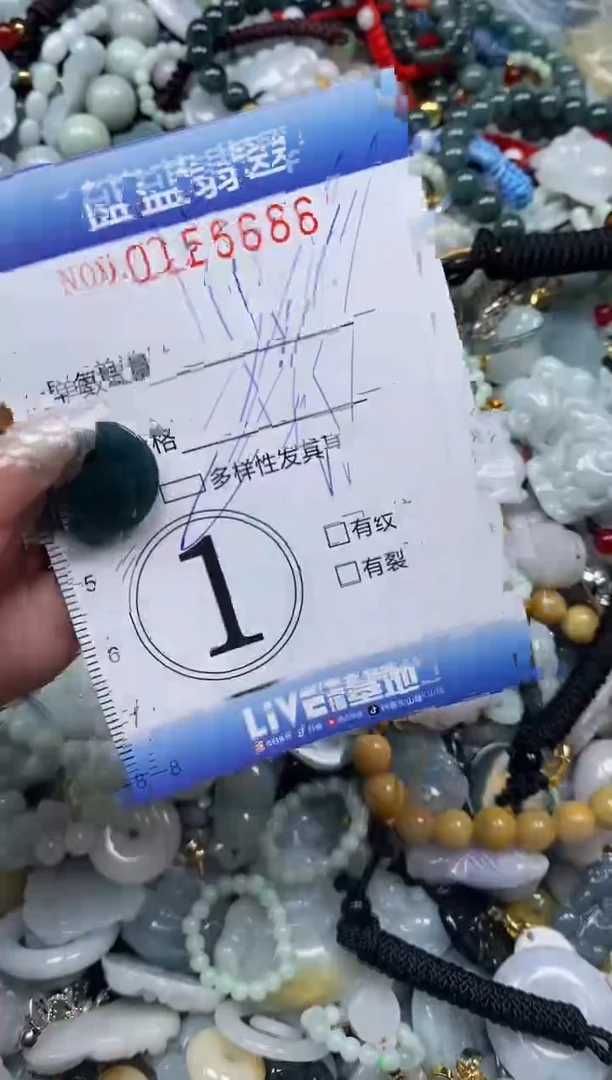 【闪购商品】翡翠颈饰未镶嵌闪购0125668多样性发其一