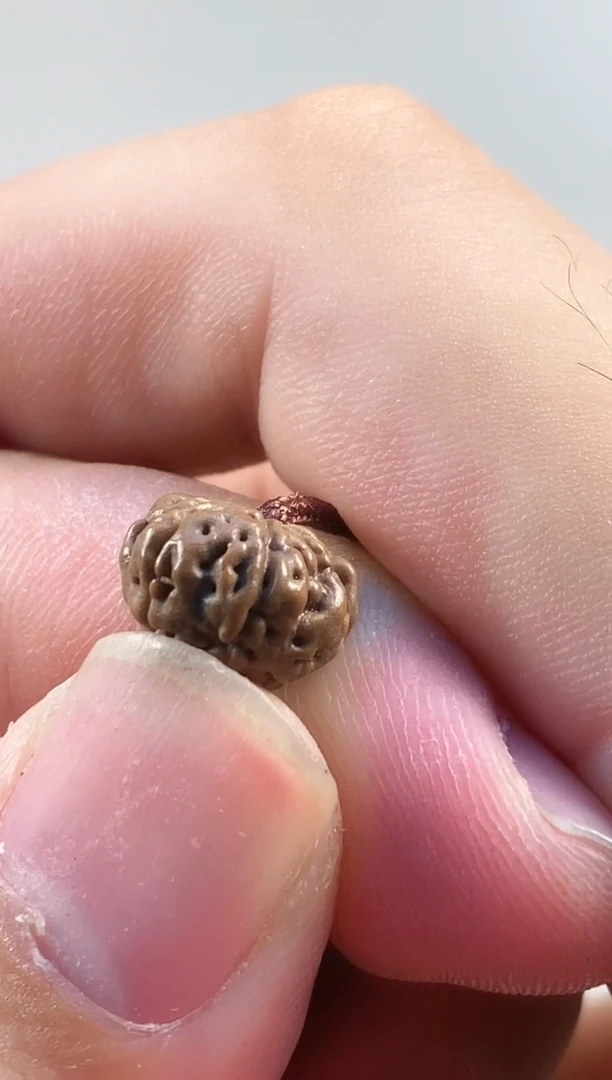 吊坠金刚菩提856六瓣老树王108长串