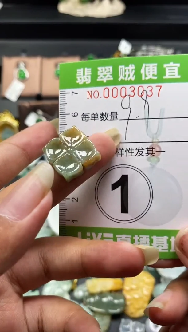 翡翠未镶嵌颈饰C闪购0003037