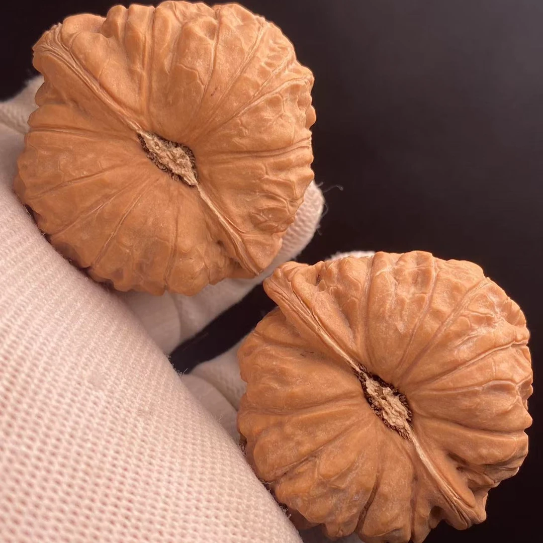 全品无修南瓜墩（未开荒未打底）