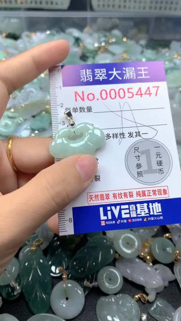 颈饰未镶嵌翡翠5447