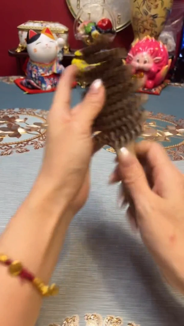 弟杯杯杯杯杯杯杯杯杯杯杯杯