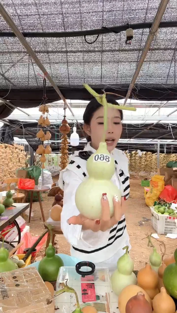 860天然葫芦摆件 一物一拍龙头不保售后