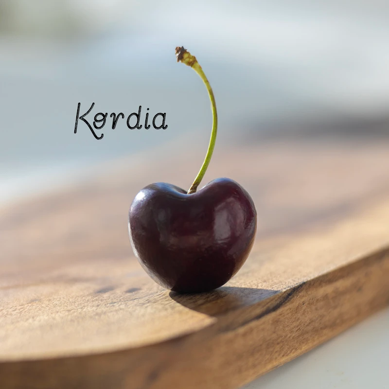 智利海运科迪亚车厘子KORDIA原箱4斤2J/3J黑车脆甜 内附果径卡
