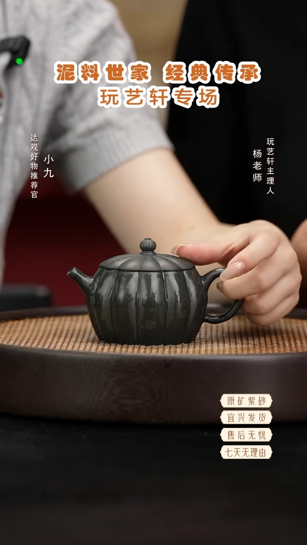 九LHH89杨燕韵锦九龄君子兰180cc