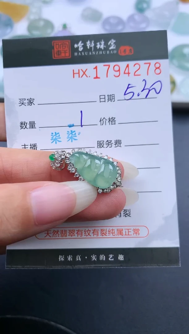 翡翠挂件未镶嵌哈轩 豆子1