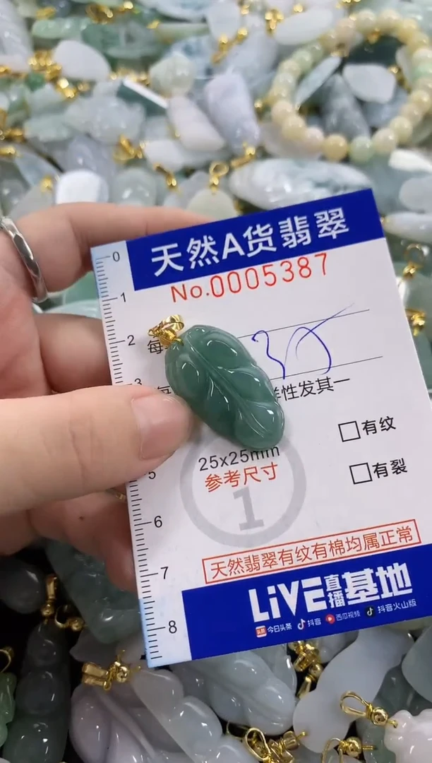 颈饰未镶嵌翡翠天然A货翡翠