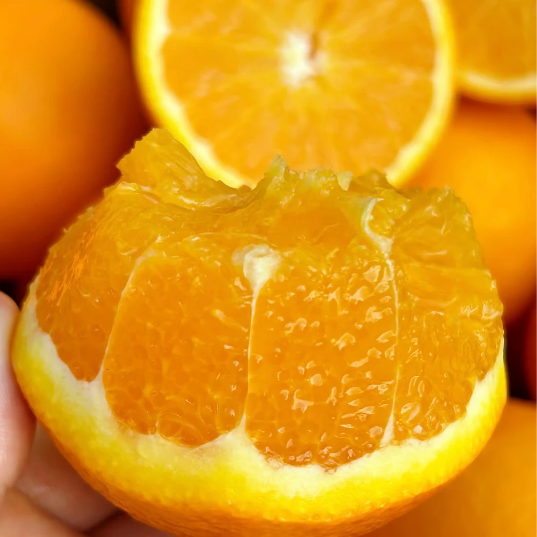 湖北秭归伦晚脐橙皮薄多汁新鲜甜橙夏季水果时令水果橙子现摘现发