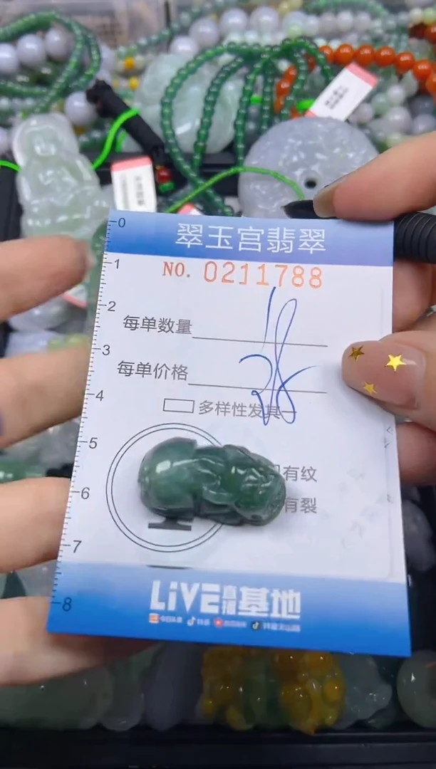 颈饰未镶嵌翡翠闪购C0211788