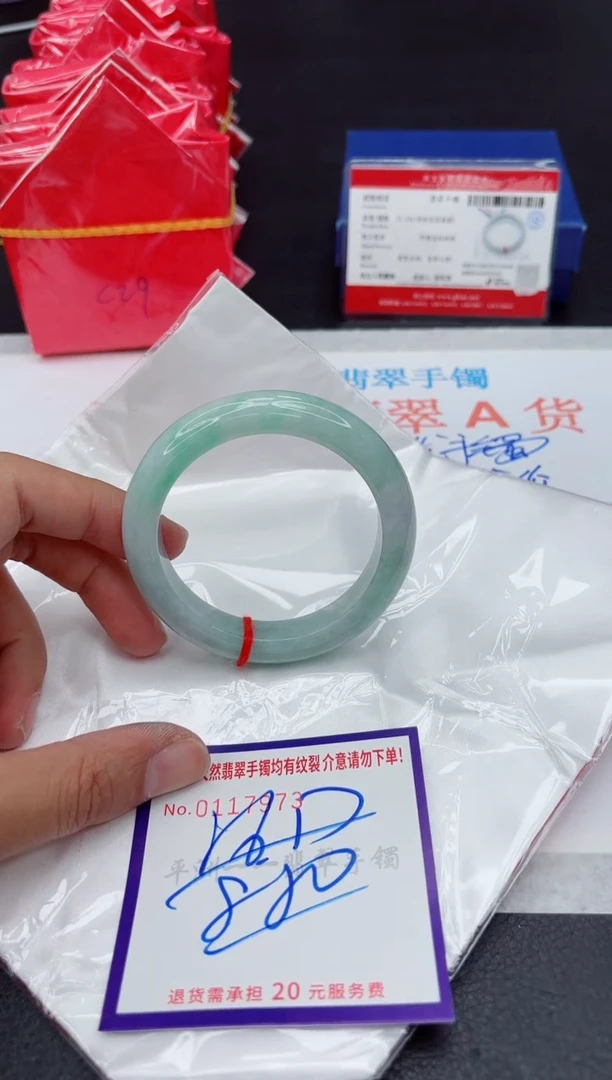 未镶嵌手镯翡翠11111111
