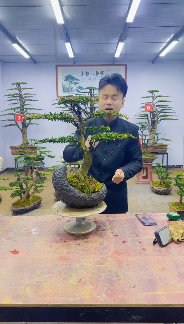 【闪购商品】一物一拍，所见即所得