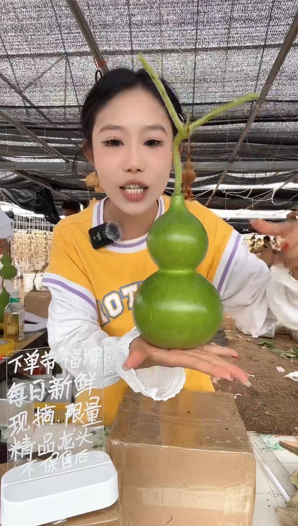 267天然葫芦摆件 一物一拍龙头不保售后