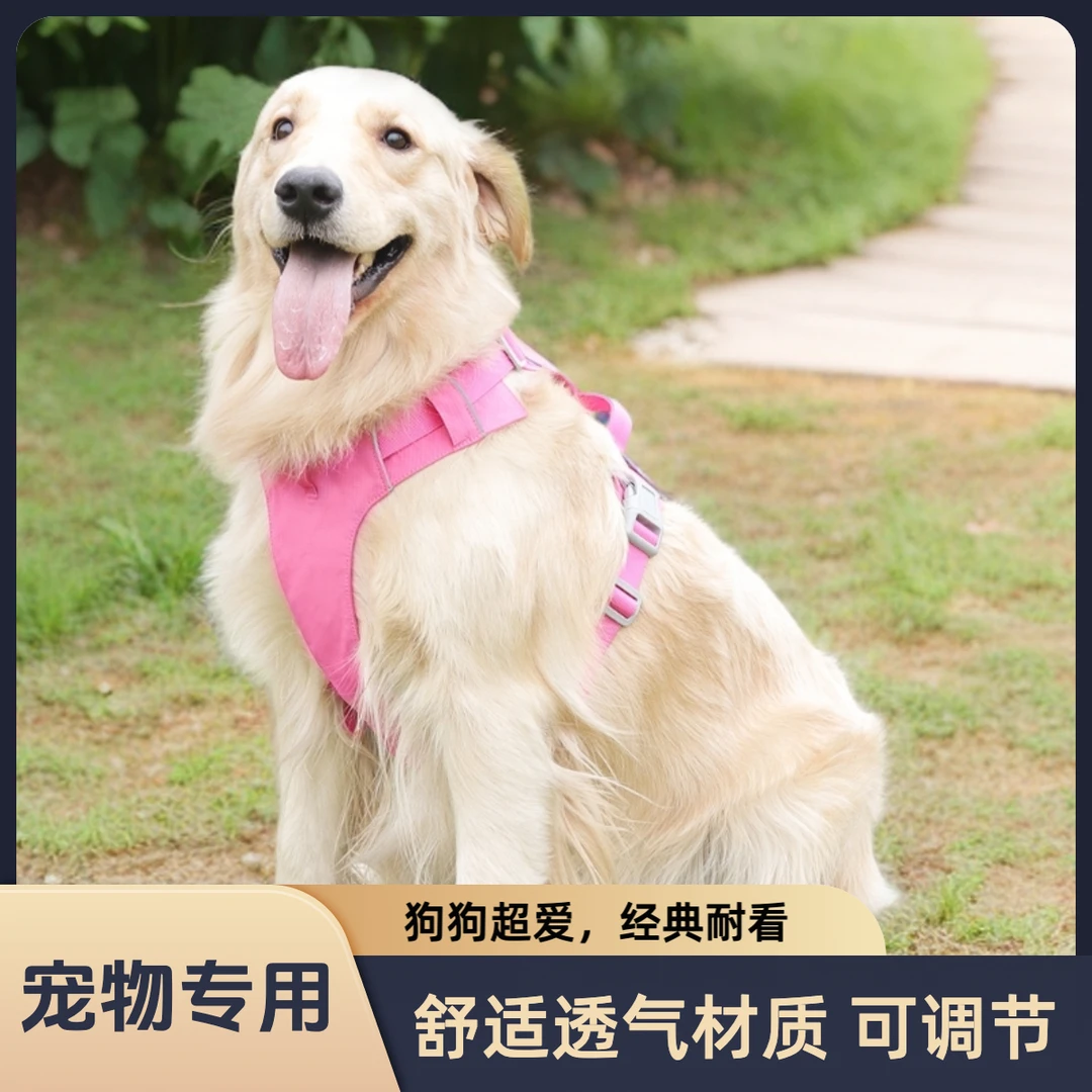 新款狗狗防水胸背牵引绳轻轻薄舒适防爆冲适合户外宠物必备物品
