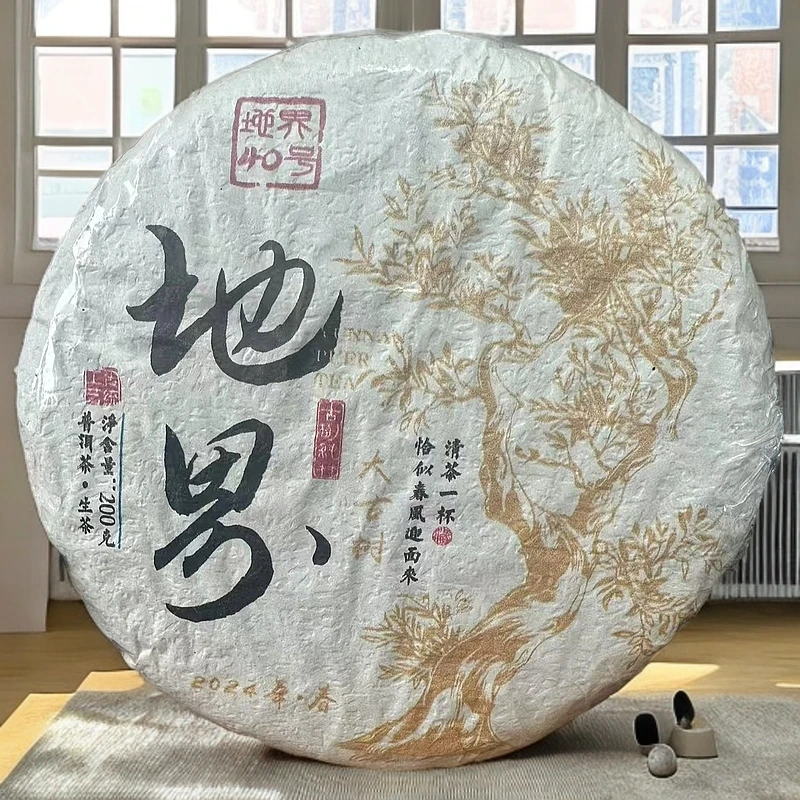 冰岛地界40号 2024年广场上大古树头春饼茶200克