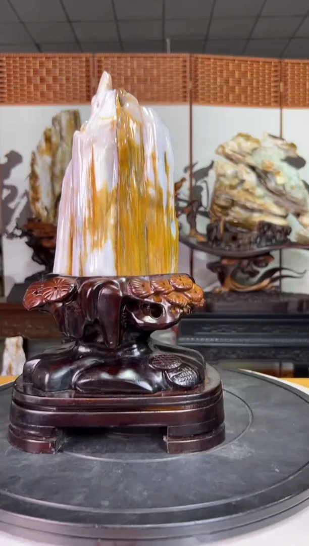 未镶嵌珠宝奇石硅化玉5