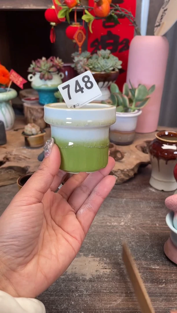 【闪购商品】摆件748福利知木小芳花盆