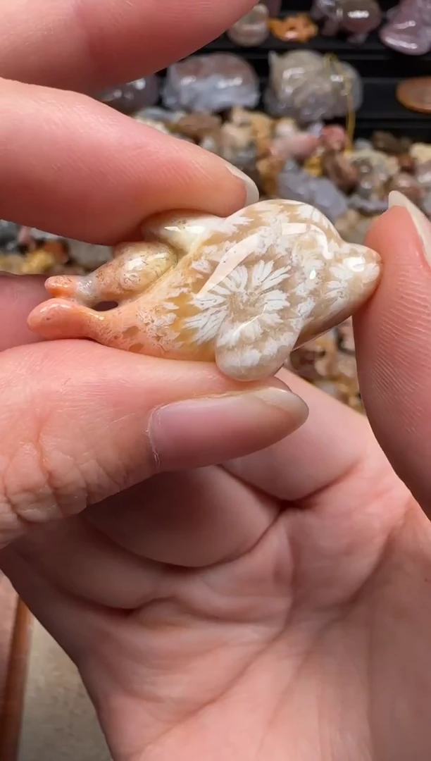 硅化珊瑚（珊瑚玉）未镶嵌颈饰833