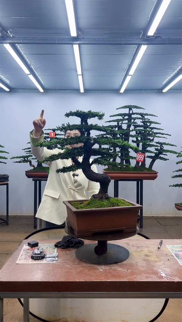 无花朵一物一拍，所见即所得