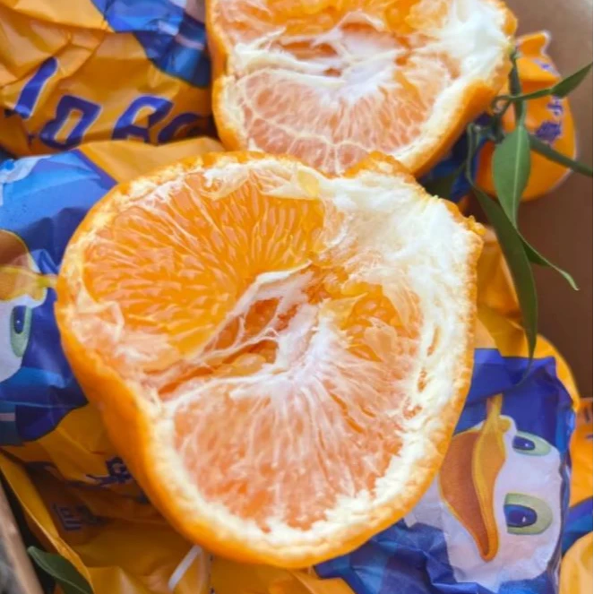 【爆甜吖】春见粑粑柑 整箱十块钱一斤上海市