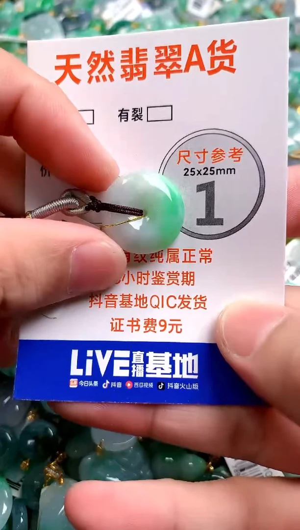 颈饰未镶嵌翡翠0063461789