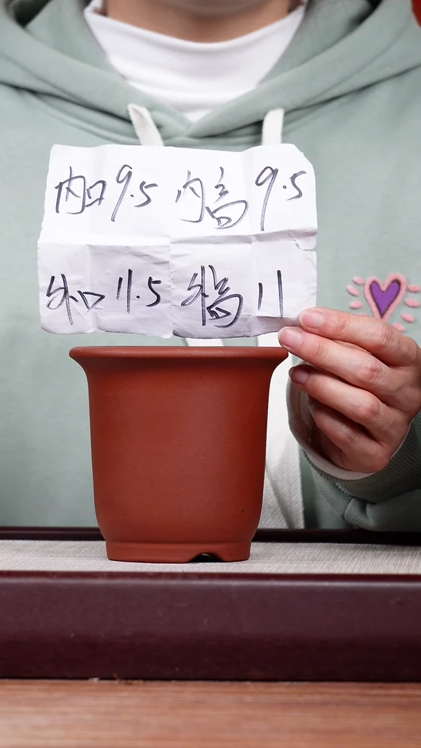 【闪购商品】紫砂花盆清水泥迷你小金钟一只无托