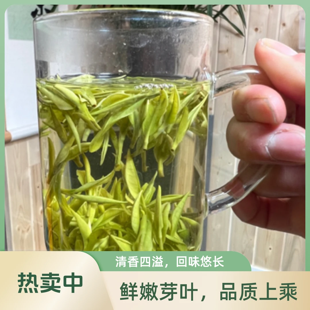 六姐家的茶【美女】安吉白茶高山原产地春茶鲜爽礼盒茶叶新茶兰花香