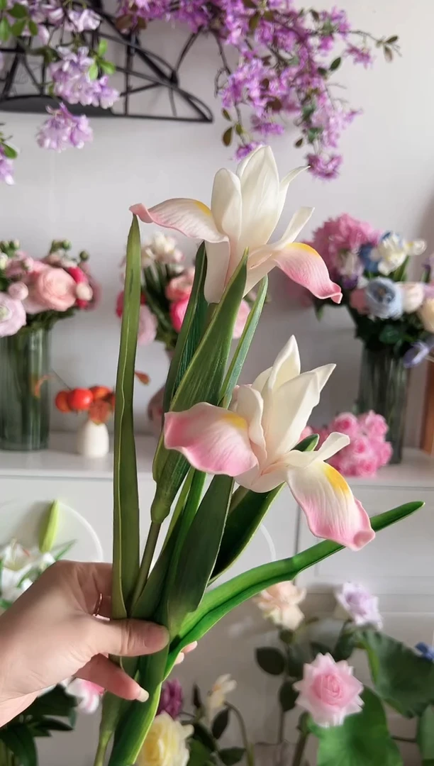 2枝粉色鸢尾花花