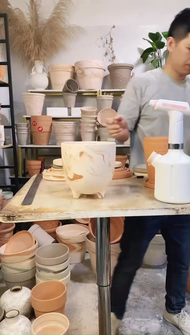 17*17.5玛奇朵蛋壳 1盆无托