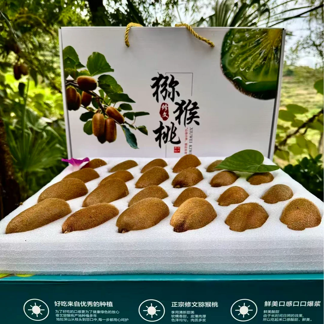 【精品礼盒】贵州高山修文猕猴桃贵长猕猴桃新鲜高端水果现摘现发