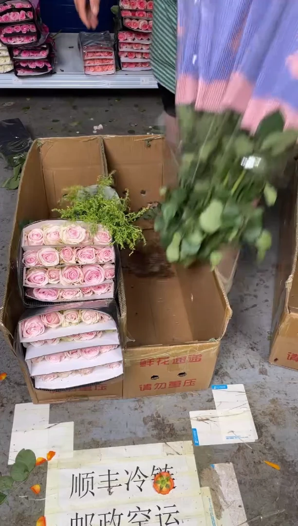 粉红5扎+黄莺