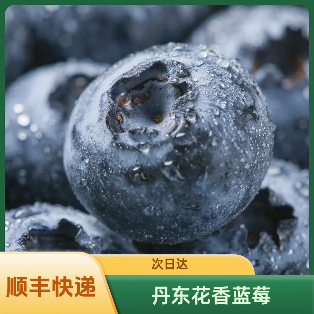 【开播福利·小糖豆】14mm以下丹东25号花香蓝莓400g顺丰包邮新鲜辽宁省