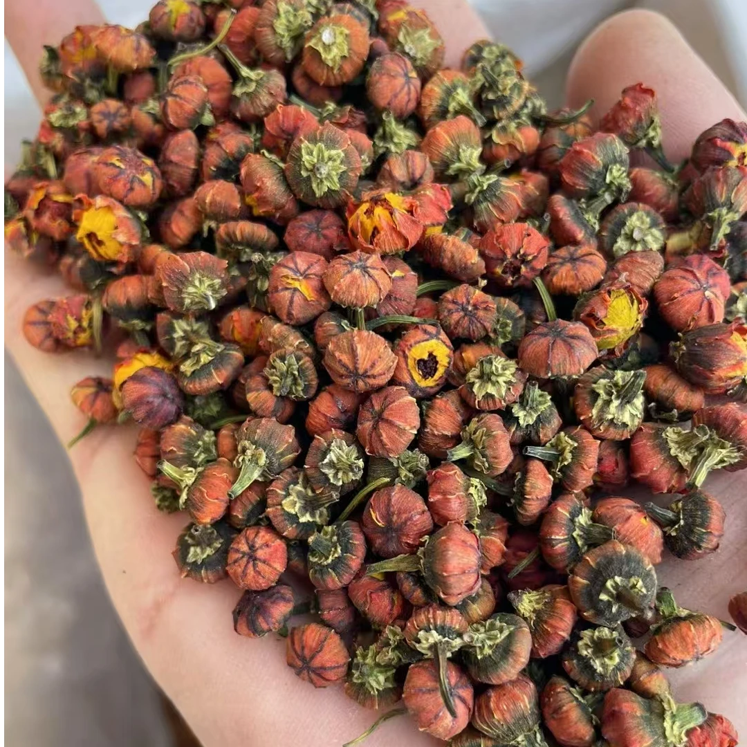 精选昆仑雪菊清香不苦好饮