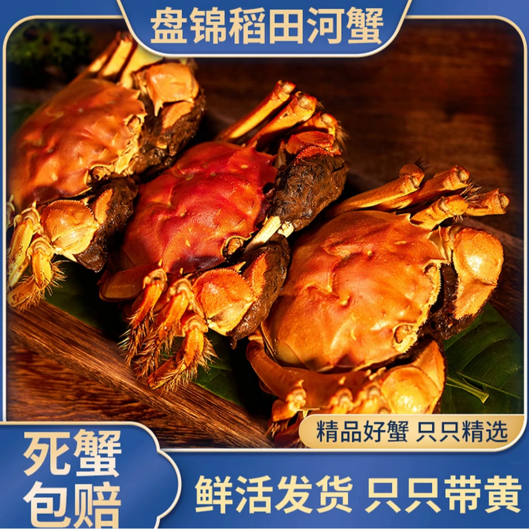 【活蟹】盘锦河蟹稻田蟹母蟹1.3-1.0两/只共3斤顺丰包邮
