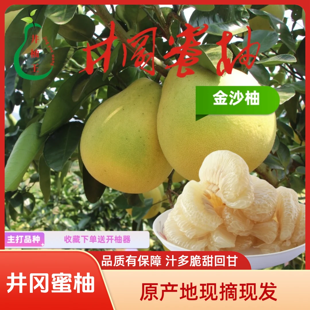 【还有少量】正宗井冈蜜柚金沙柚原产地白水柚20斤脆甜孕妇老人小孩