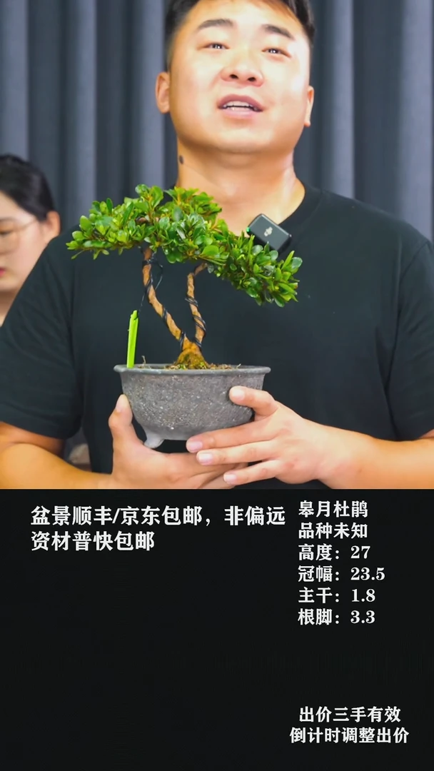 无花朵心**致未知杜鹃-G7873