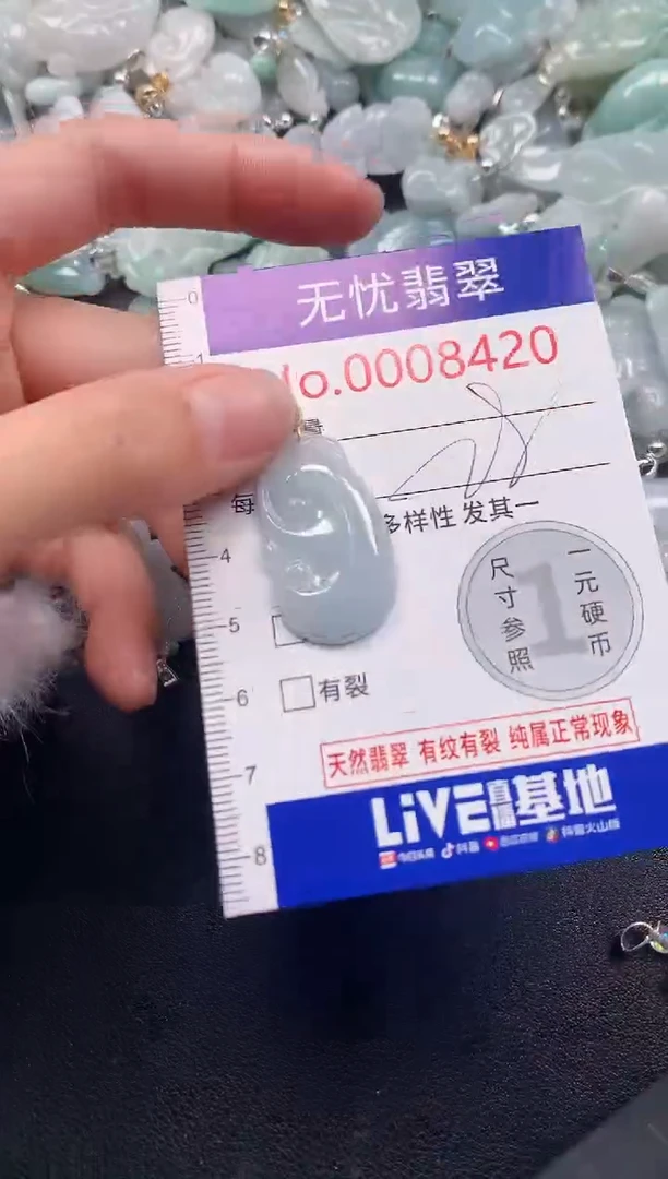 颈饰未镶嵌翡翠8420
