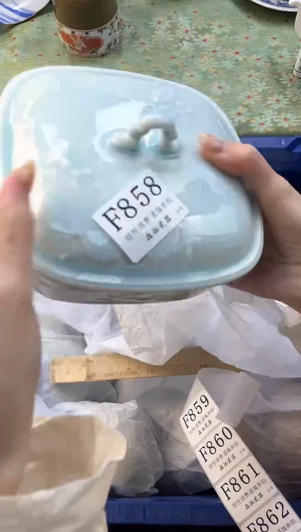 【闪购商品】瓷片          F858