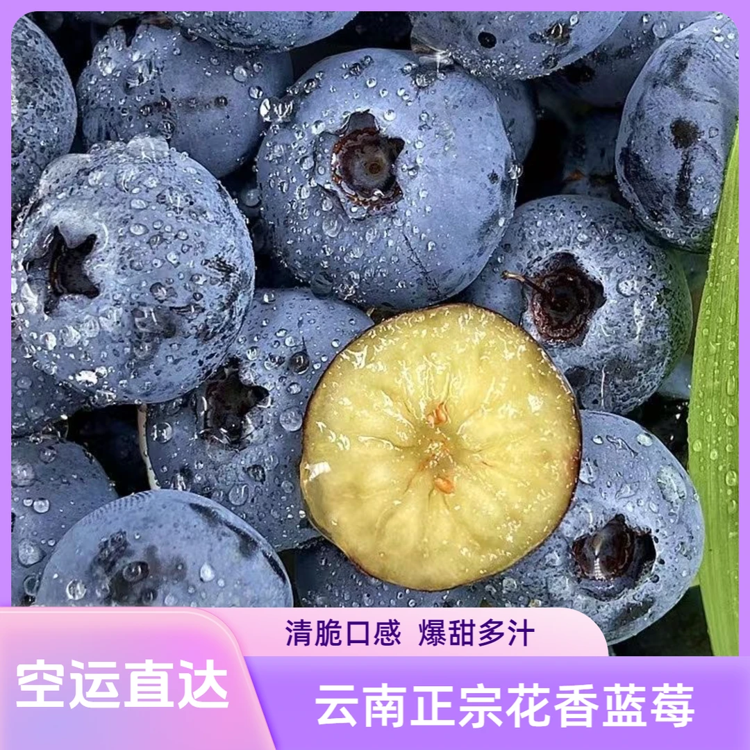 【顺丰/京东】空运包邮云南正宗高山花香蓝莓新鲜现摘应季脆甜水果