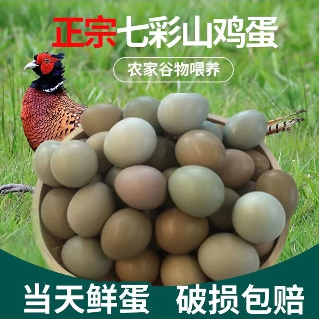 【30枚】七彩山鸡蛋现捡现发户外散养
