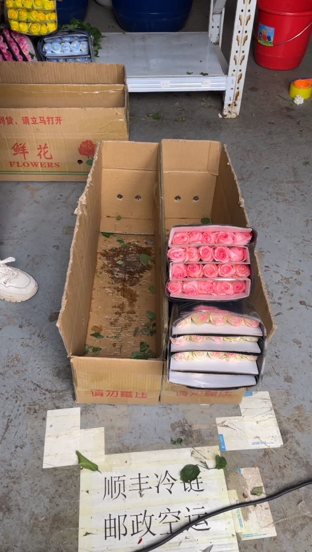 小白兔20枝+戴安娜20枝